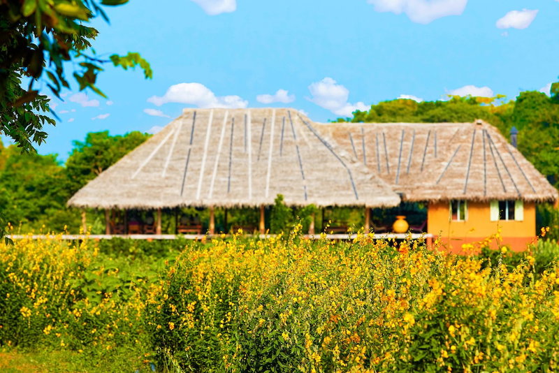 Amuna Ayurveda and Wellness Retreat, Sigiriya, Sri Lanka