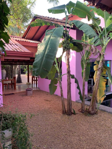 Dickman Resort "The Boutique Hotel", Negombo, Sri Lanka