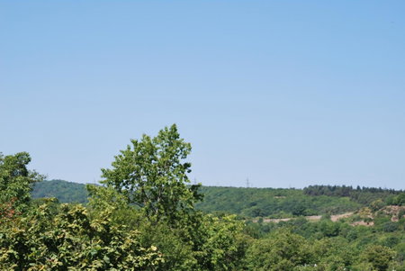 Shanshe, Gurjaani, Грузия