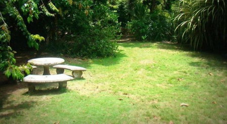La Gamba Rainforest Lodge, Golfito, Costa Rica