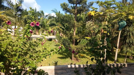 Queens Chateau Boutique Villa, Diani Beach, Kenia