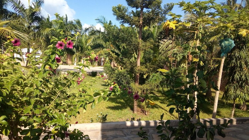 Queens Chateau Boutique Villa, Diani Beach, Kenia