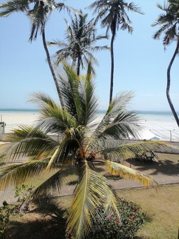 Bamburi Beach Villa LTD, Mombasa, Kenya
