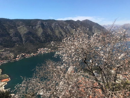 Romantic Rooftop View Hideaway- Old Town Nr 404, Kotor, Montenegro