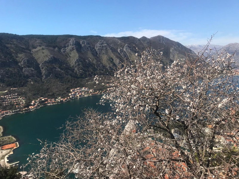 Romantic Rooftop View Hideaway- Old Town Nr 404, Kotor, Montenegro