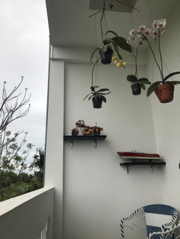 Sophia Homestay Hoi An, Hoi An, Việt Nam
