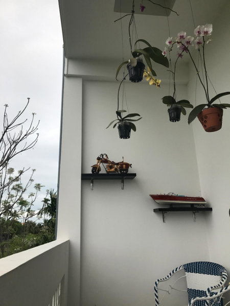 Sophia Homestay Hoi An, Hoi An, Việt Nam
