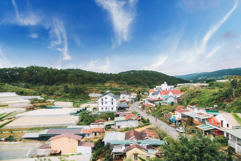 GREENECO DA LAT HOTEL - Khách sạn Green Eco Đà Lạt, Da Lat, Vietnam