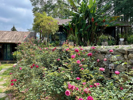 Anne House Bac Ha, Bắc Hà, Vietnam