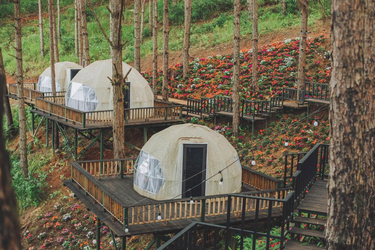 Lavender Dalat Resort & Glamping, Vietnam