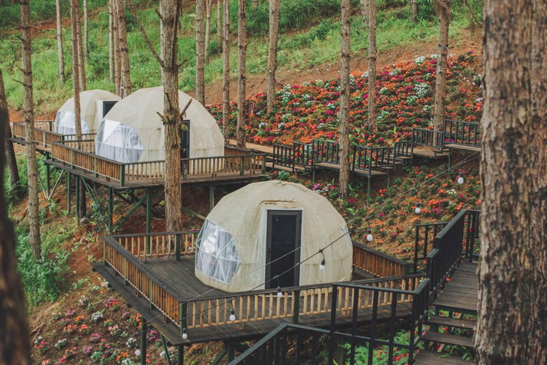 Lavender Dalat Resort & Glamping, Da Lat, Вьетнам