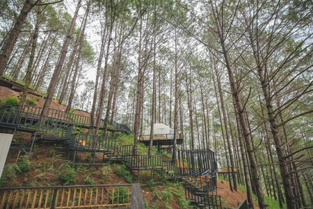 Lavender Dalat Resort & Glamping, Da Lat, Việt Nam