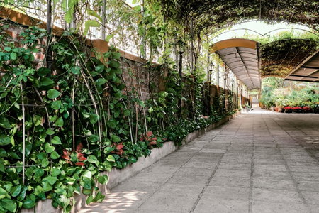Trang Thanh Luxury Apartment, Hai Phong, Việt Nam