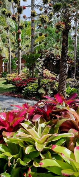 Coco Palm Beach Resort & Spa, Phu Quoc, Вьетнам