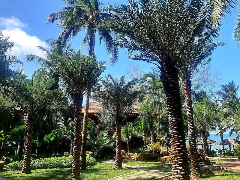 Coco Palm Beach Resort & Spa, Phu Quoc, Вьетнам
