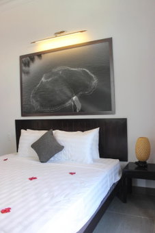 Hoi An Viet House Homestay, Hoi An, Vietnam