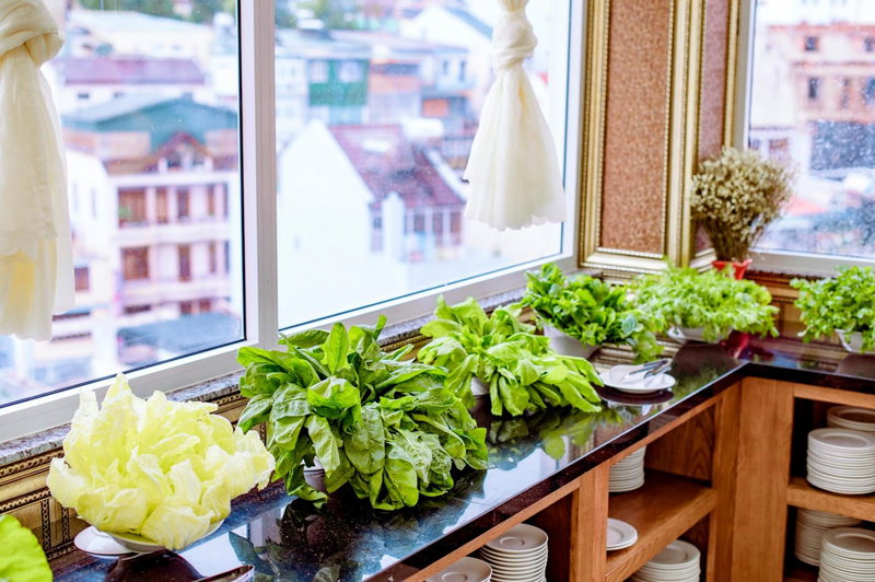Queen T&T Dalat Hotel, Da Lat, Vietnam