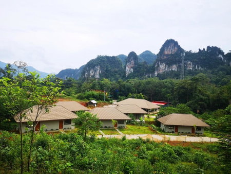 The Liveliwoods, Khao Sok, ประเทศไทย