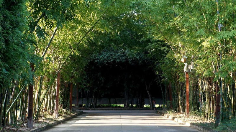 Bamboori Boutique Resort Chiang Mai, Чиангмай, Таиланд