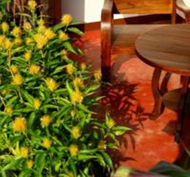 BB Mantra Boutique Hotel, Chiang Mai, ประเทศไทย