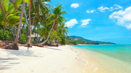 Samui Blue Bird, Mae Nam, Thaïlande