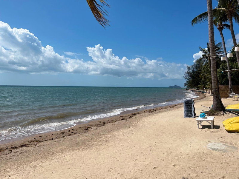 Sea Love Beach Bar & Bungalows, Baan Tai, Thailand