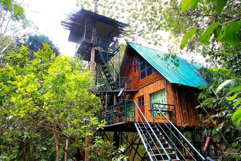 Khao Sok Tree House Resort, Khao Sok, Thaïlande