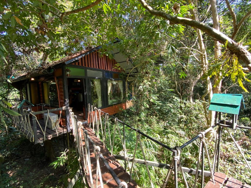 Khao Sok Tree House Resort, Khao Sok, Thaïlande