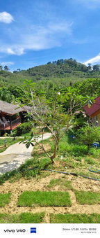 Mookies Bungalows, Ko Mook, Таиланд