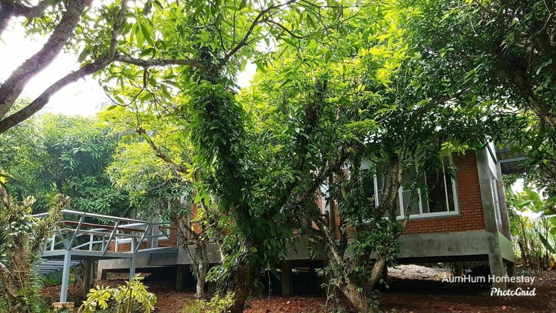Aum Hum Homestay, Fang, Thailand