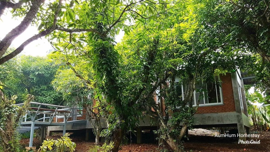Aum Hum Homestay, Fang, Thailand