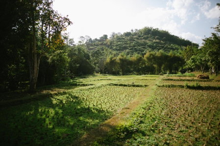 Aum Hum Homestay, Fang, Thailand