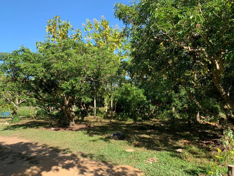 Aum Hum Homestay, Fang, Thailand