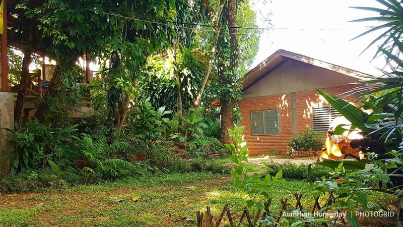 Aum Hum Homestay, Fang, Thailand