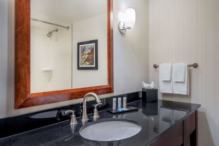 Embassy Suites by Hilton Boston Waltham, Waltham, United States