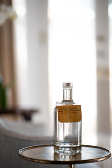 voco St James Hotel by IHG, New Orleans, Estados Unidos