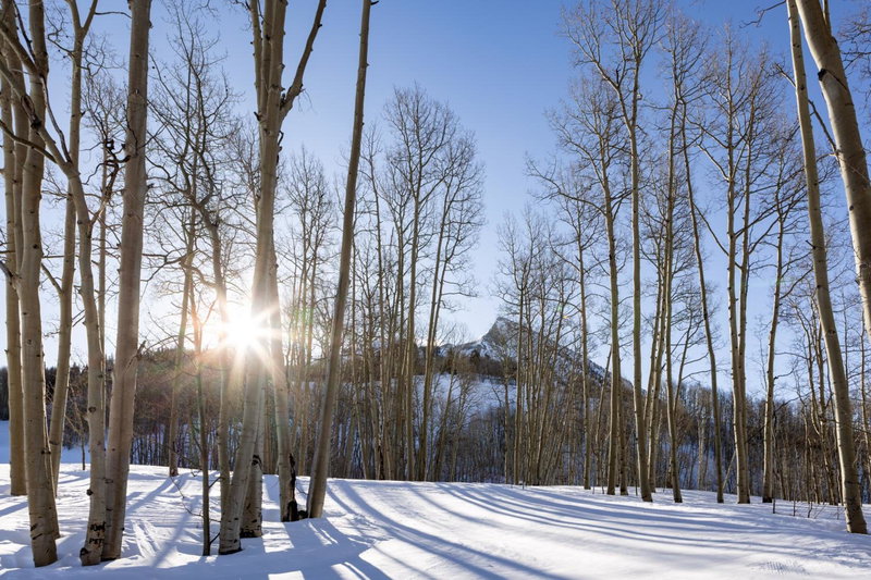 Elevation Hotel & Spa, Crested Butte, United States