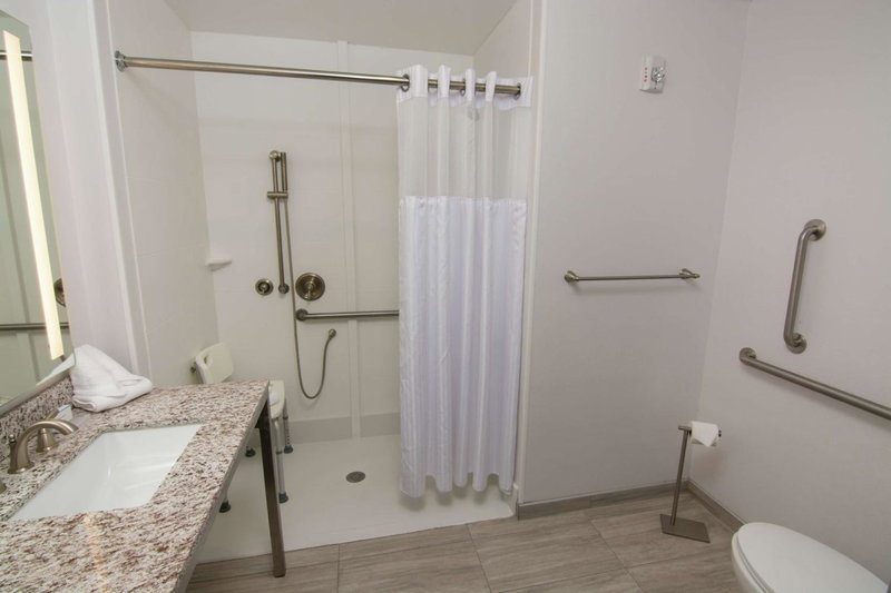 Hilton Garden Inn Tampa Suncoast Parkway, Lutz, United States