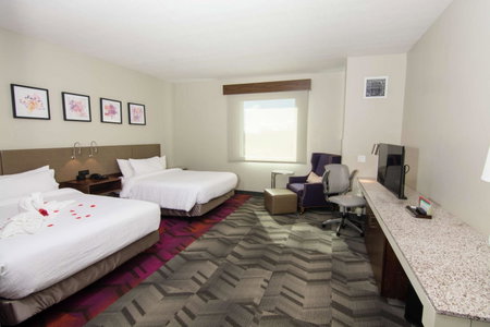 Hilton Garden Inn Tampa Suncoast Parkway, Lutz, United States