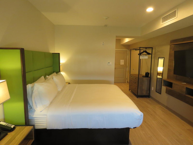 Wyndham Garden College Station, College Station, United States