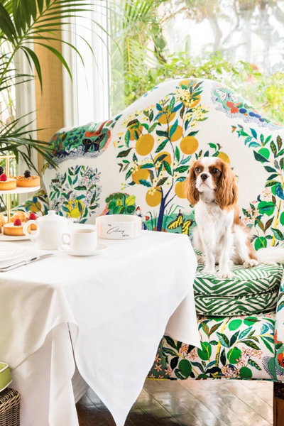 The Colony Hotel, Palm Beach, Vereinigte Staaten