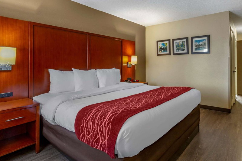 Comfort Inn Fort Mill Amusement Park at Carowinds Blvd, Fort Mill, Estados Unidos