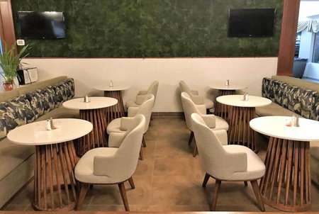 Medallion Inn and Suites, Arlington, United States