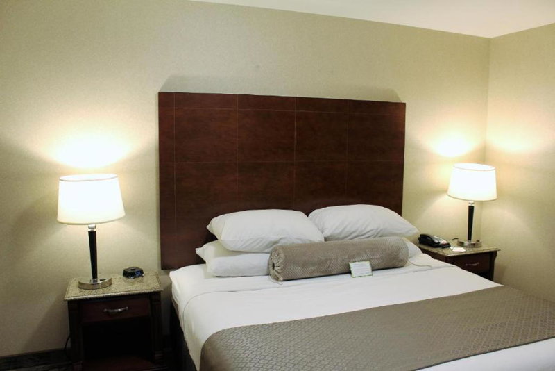 Medallion Inn and Suites, Arlington, United States