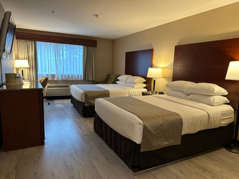 Medallion Inn and Suites, Arlington, United States