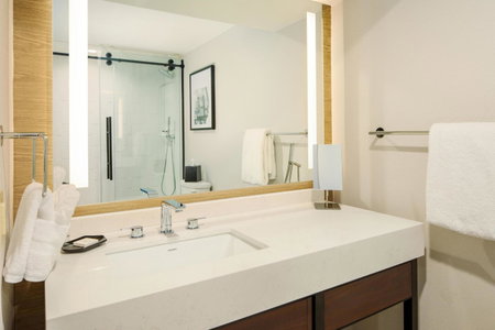 Sheraton Detroit Metro Airport, Romulus, United States