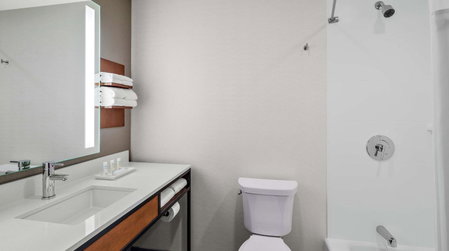 Hilton Garden Inn Chicago McCormick Place, Chicago, United States