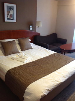 Okayama Plaza Hotel, Okayama, Япония