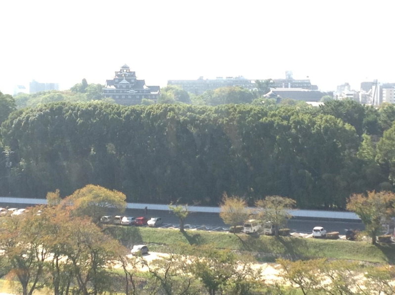 Okayama Plaza Hotel, Okayama, Япония