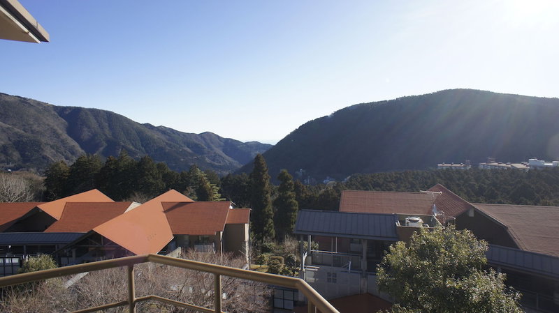 Wisterian Life Club Verde no Mori, Hakone, Japon